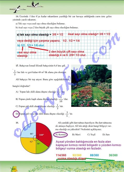 7 sınıf matematik sayfa 116